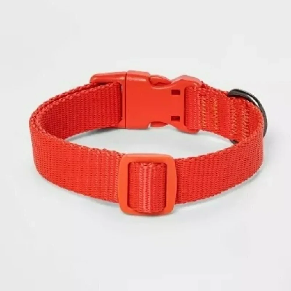 Basic DTM Dog Adjustable Collar | Boots & Barkley | Extra Large